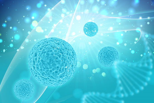free-floating-stem-cells