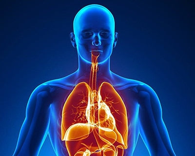 stem-cell-for-well-being