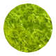 afa-extract-icon