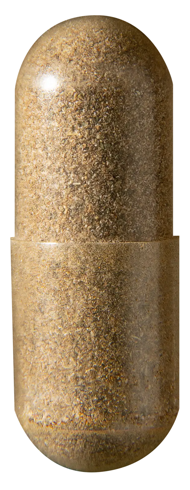 capsule_compressed.webp