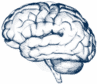 nervous-system-icon