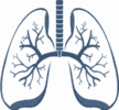respiratory-system-icon