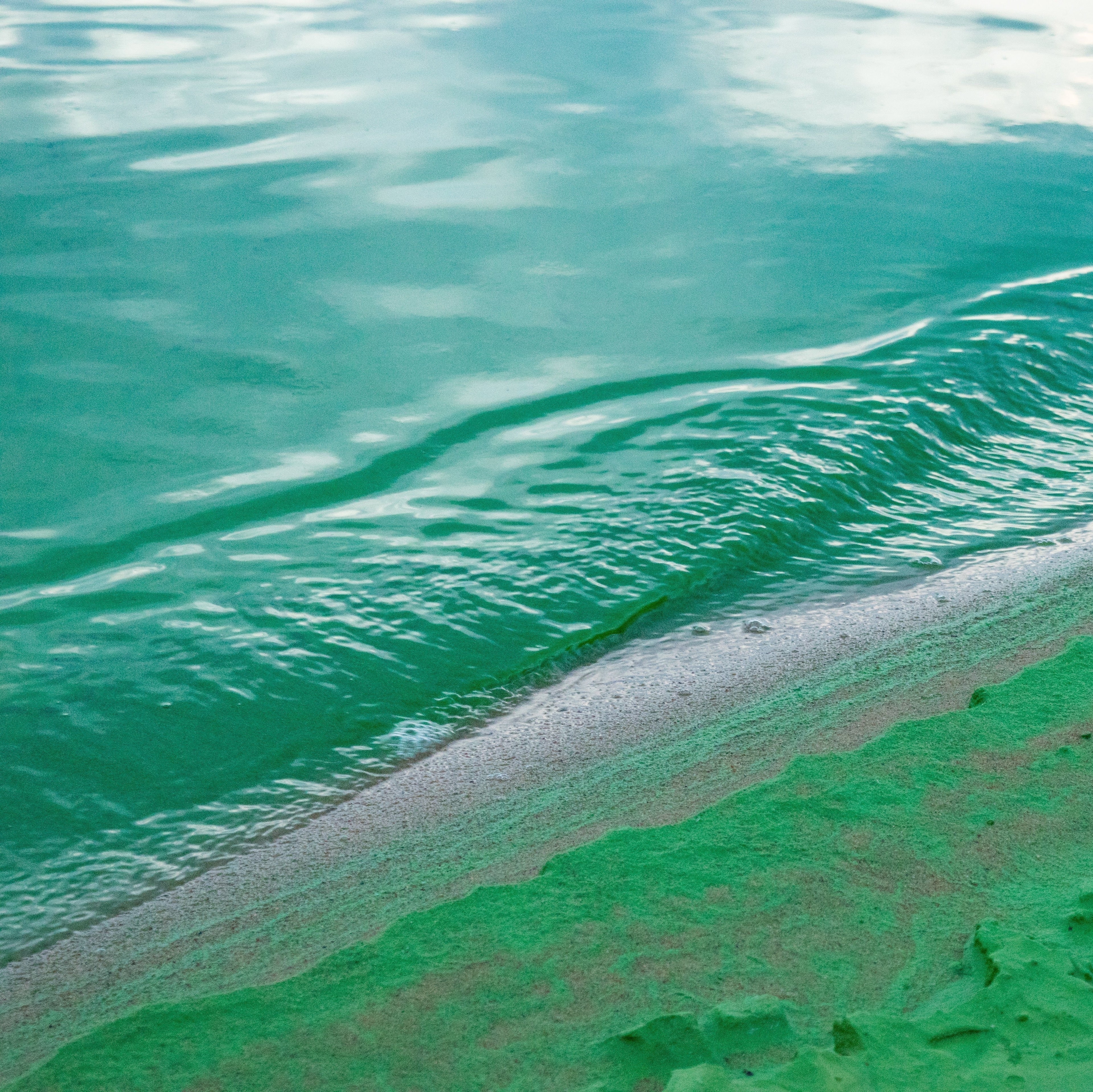 stem-cell-enhancers-ingredients