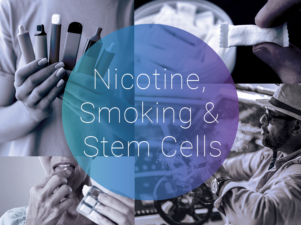 Nicotine, Smoking & Stem Cells: What Supports Health—and What Damages It?