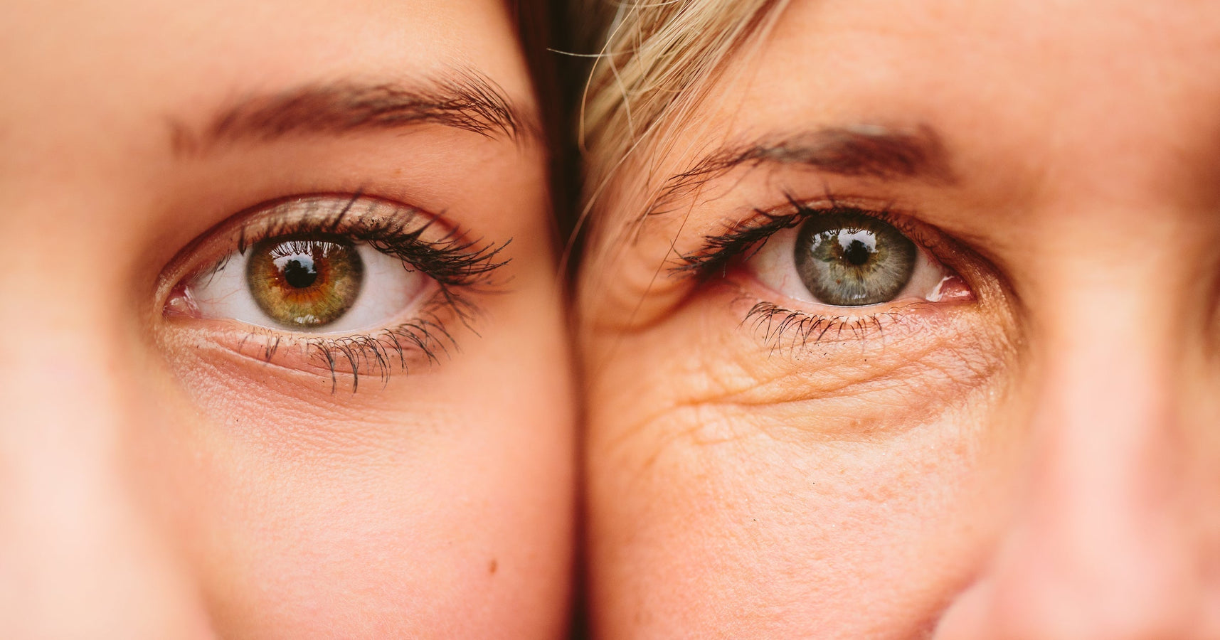 The Missing Step in Your Skincare Routine: Supporting Your Stem Cells For Youthful Skin