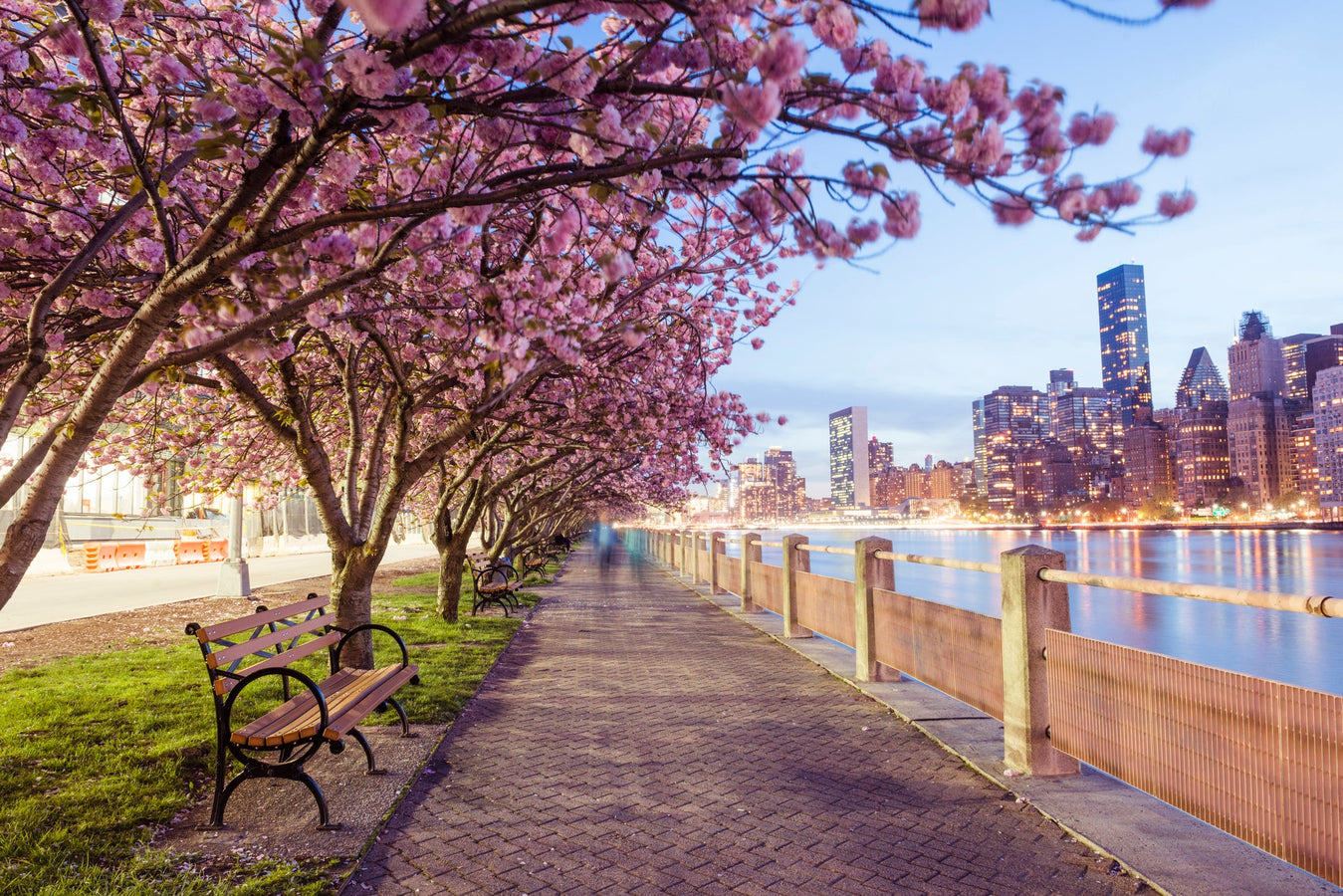 Spring: A Season of Renewal for You and Your Health