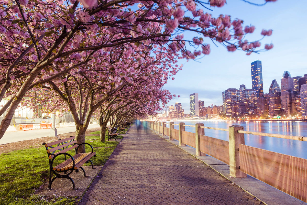 Spring: A Season of Renewal for You and Your Health