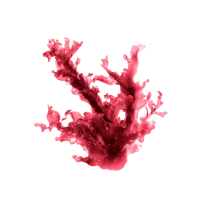 Haematococcus Pluvialis Extract (Astaxanthin 4%)