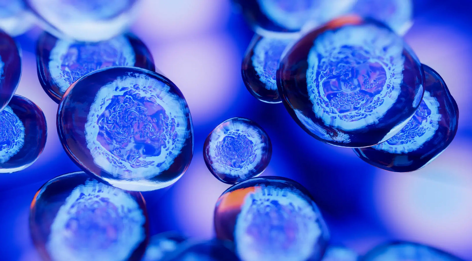 Best Supplements for Cell Regeneration