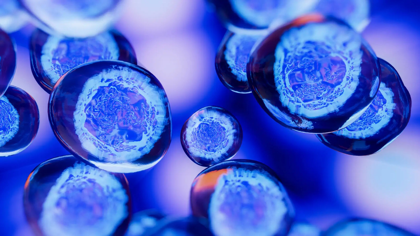 Best Supplements for Cell Regeneration