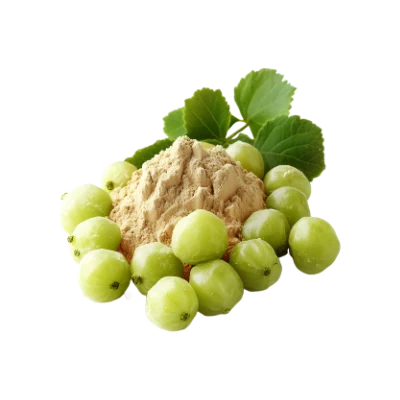 Commiphora Wightii Extract (Guggulsterones 10%)