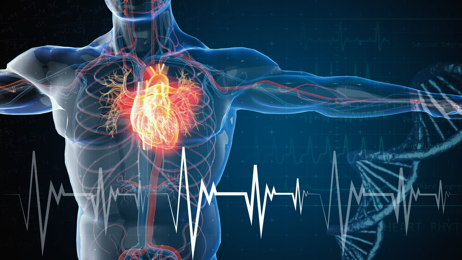 New Research Reveals How Supporting Your Stem Cells May Transform Heart Failure Treatment