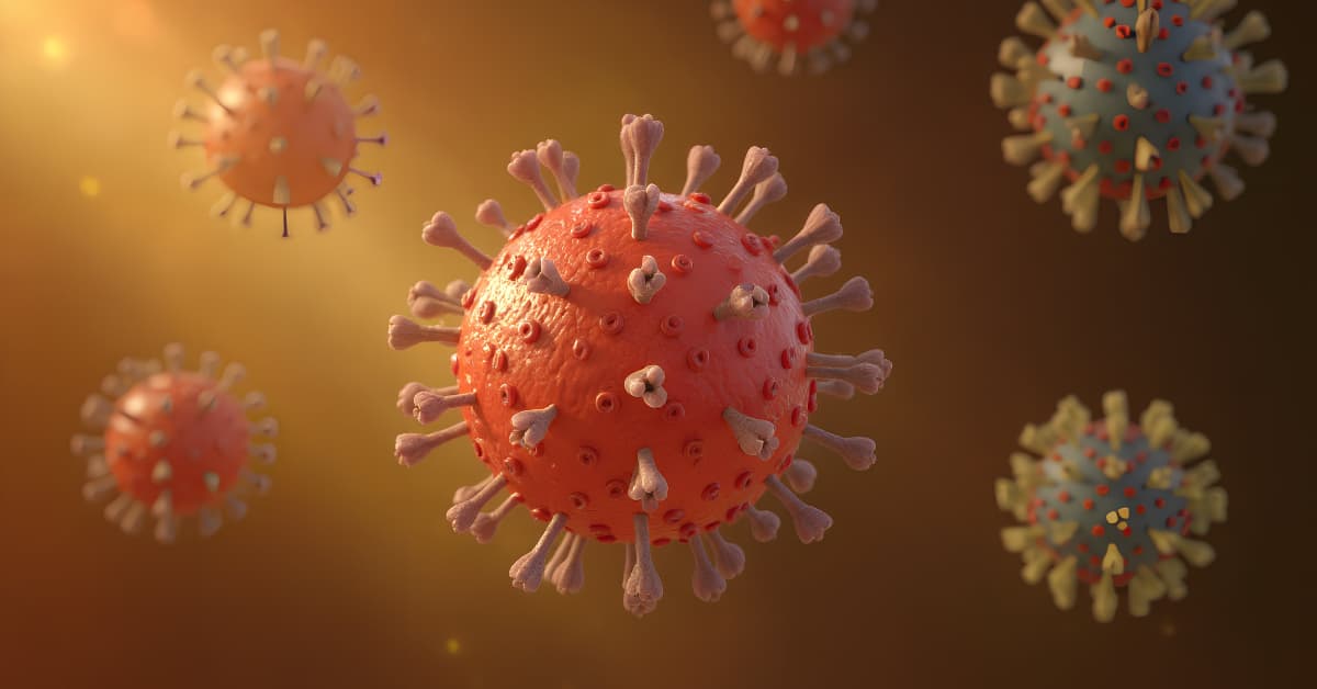 Stem cells and immune health