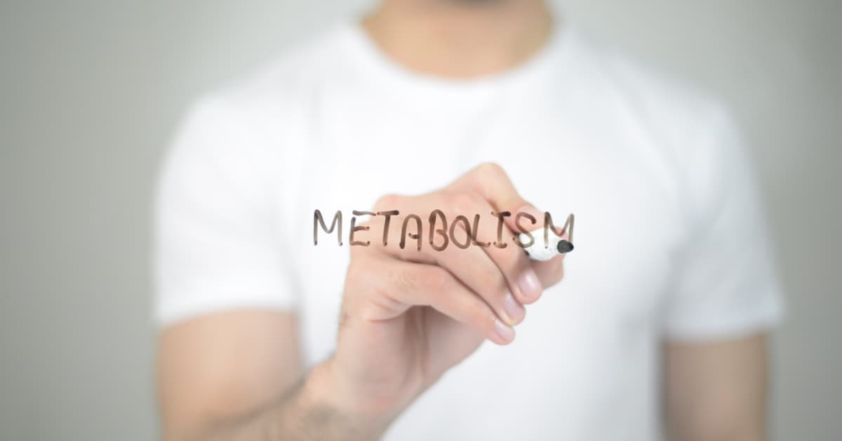 Stem cells and metabolism