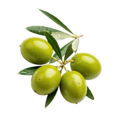 Olive Extract (25% Hydroxytyrosol)