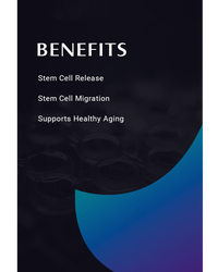 Thumbnail for Release