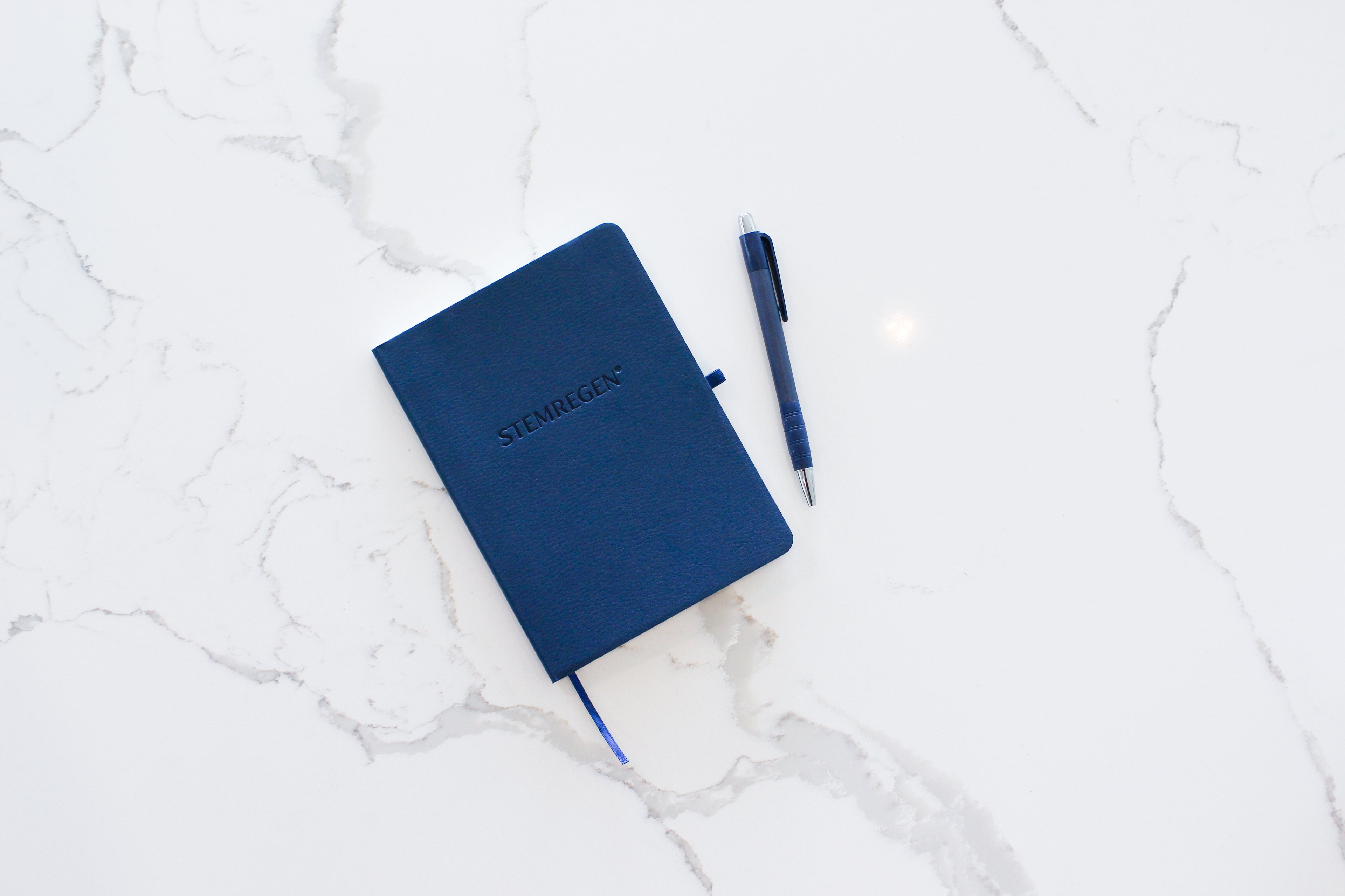 STEMREGEN® Notebook with Pen