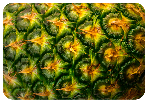 Mobile-Bromelin.png