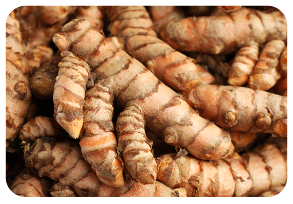 Mobile-CurcumalongaExtract.png