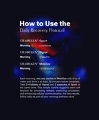 Daily Recovery Protocol