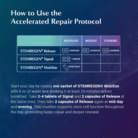 Thumbnail for Accelerated Repair Protocol