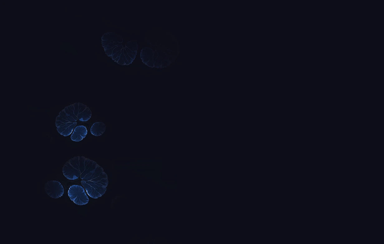 Blue circular cells on a black background