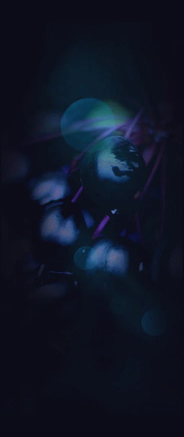 Stemregen innate mobile repair system ingredients